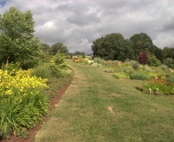 arboretum Wojsławice