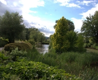 arboretum Wojsławice