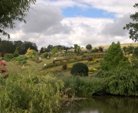 arboretum Wojsławice