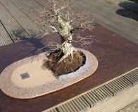 BagEnd-bonsai_03