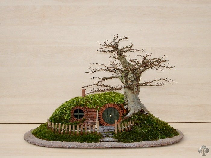 Back End bonsai - jesień