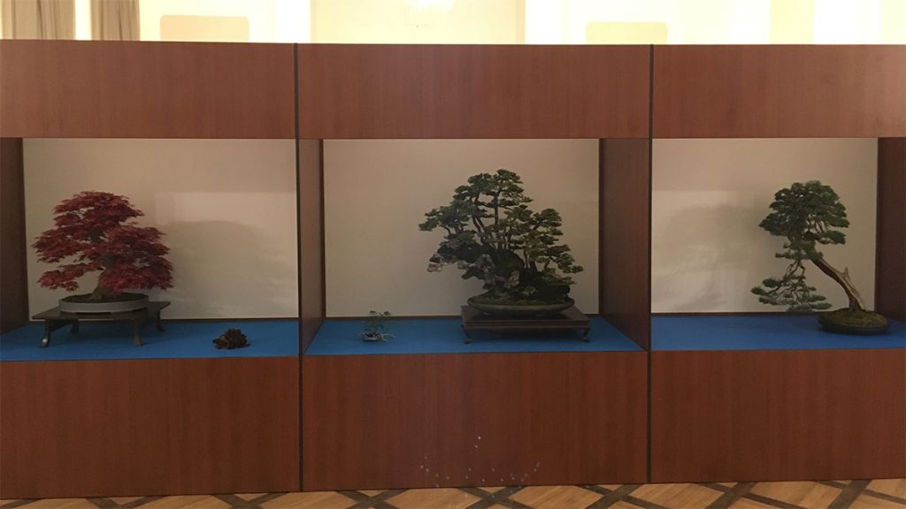 Wystawa bonsai Książ 2017
