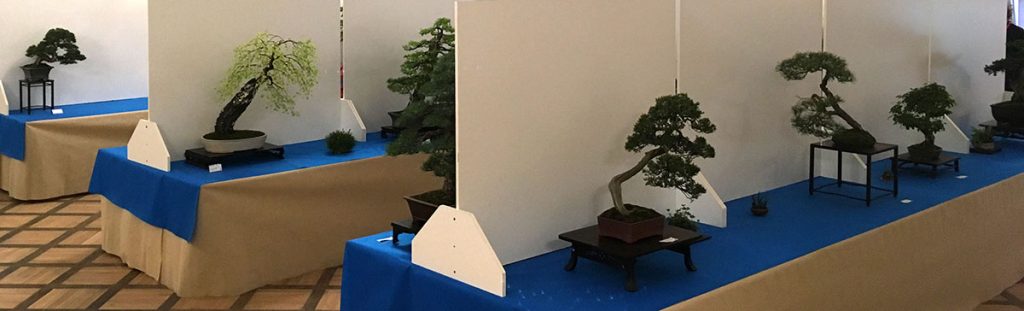 Wystawa bonsai Książ 2017