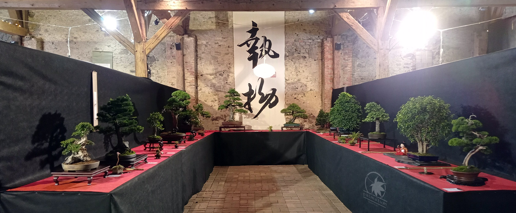 Wojsławice 2022 wystawa bonsai
